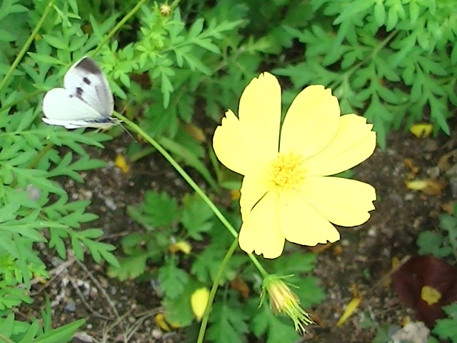 �`���E�`��