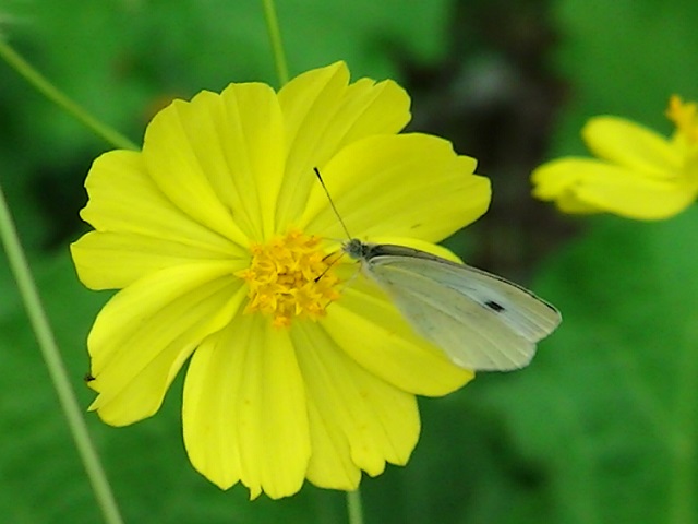 �`���E�`��