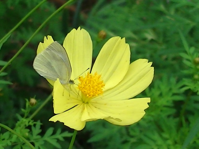 �`���E�`��