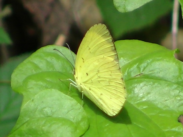 �`���E�`��