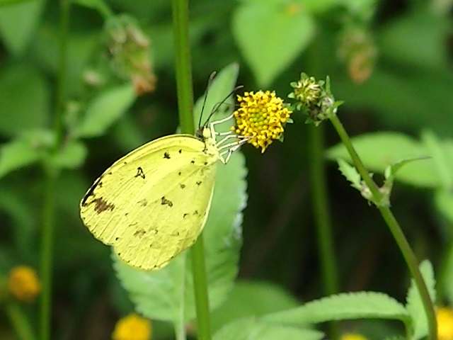 �`���E�`��