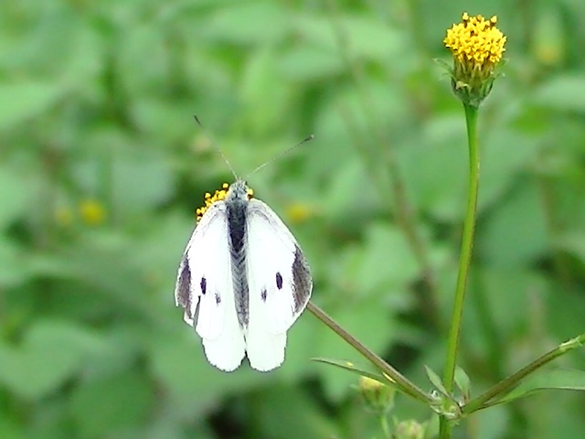 �`���E�`��