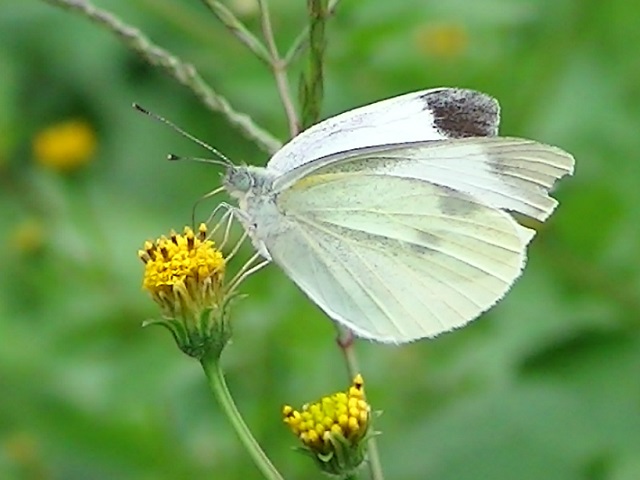 �`���E�`��