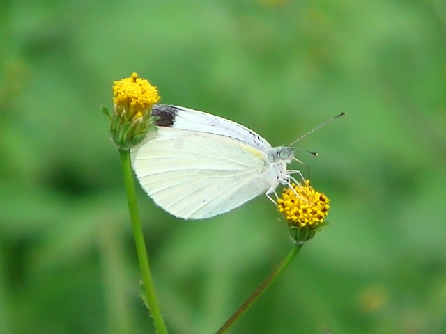 �`���E�`��