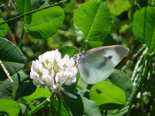 �`���E�`��