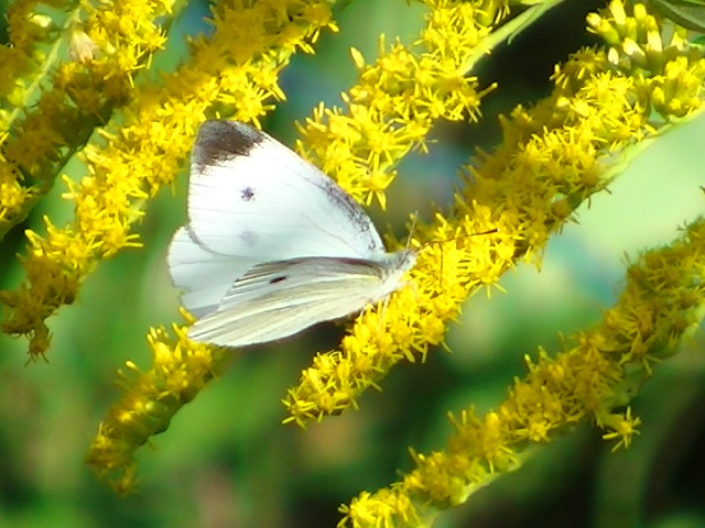 �`���E�`��