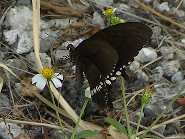 �`���E�`��