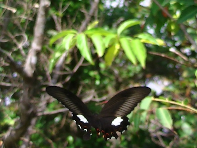 �`���E�`��