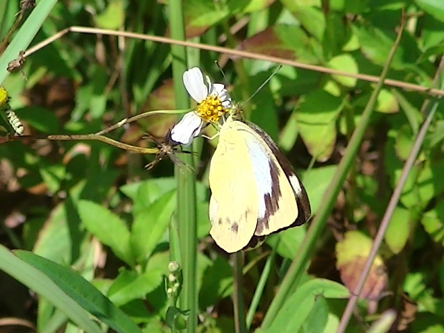 �`���E�`��