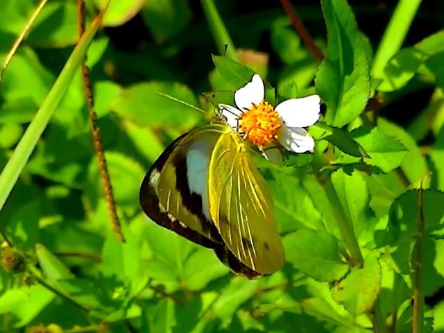 �`���E�`��