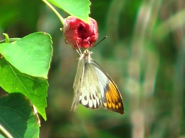 �`���E�`��