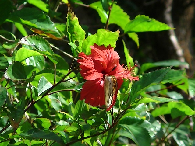 �`���E�`��