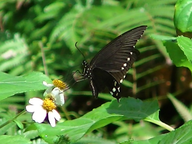 �`���E�`��