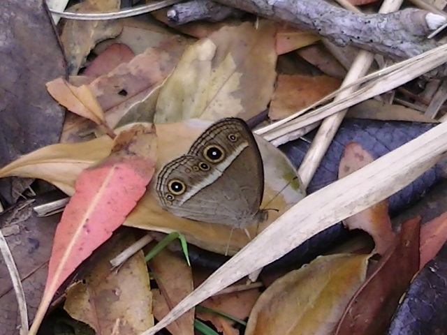 �`���E�`��