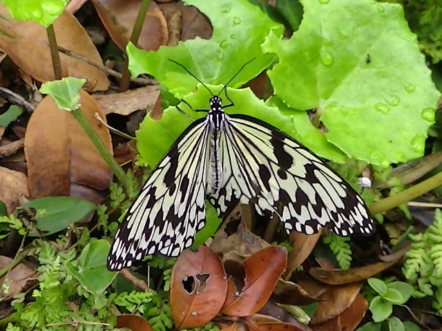 �`���E�`��