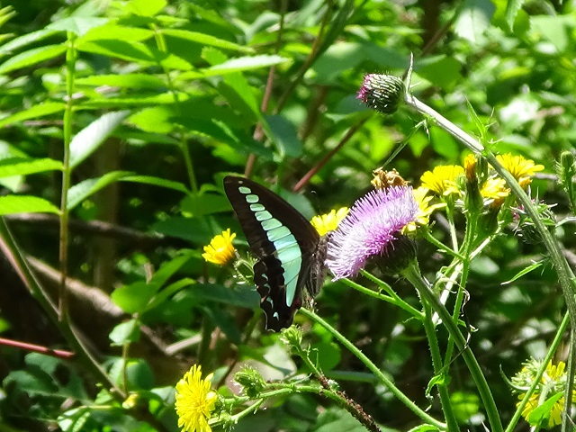 �`���E�`��