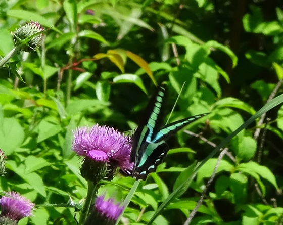 �`���E�`��