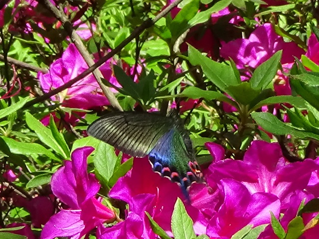 �`���E�`��