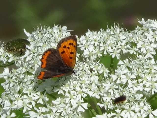 �`���E�`��