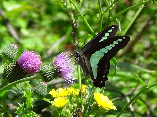 �`���E�`��