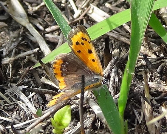 �`���E�`��