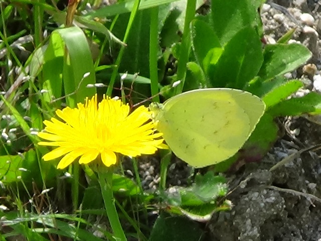 �`���E�`��