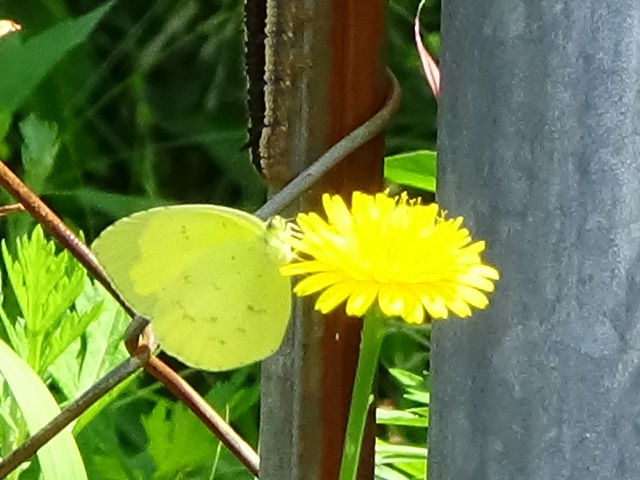 �`���E�`��