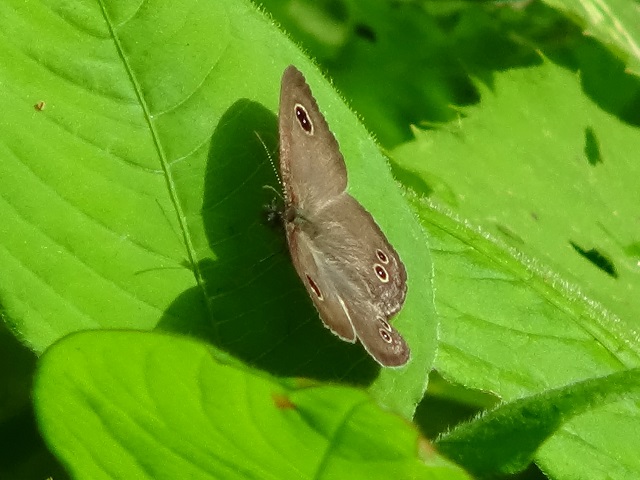 �`���E�`��