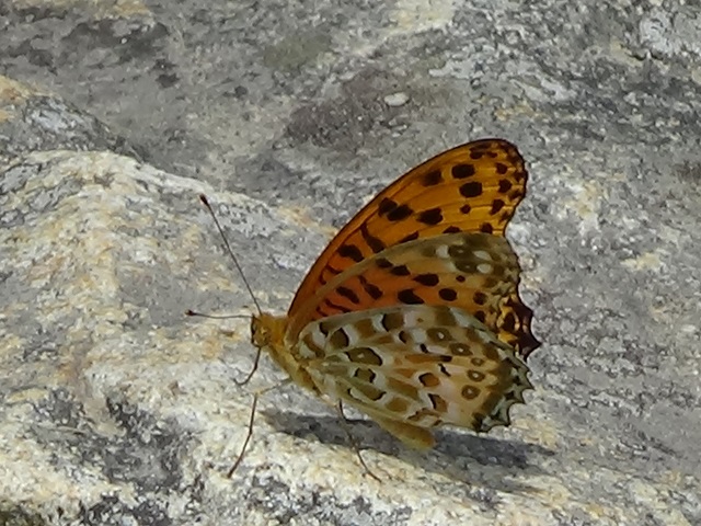 �`���E�`��