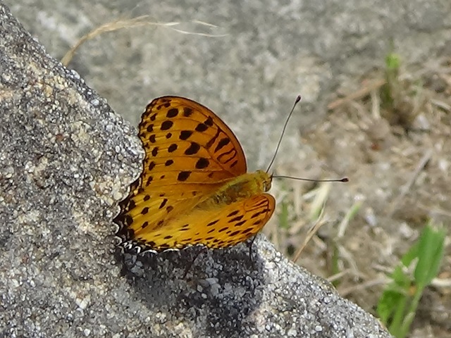 �`���E�`��