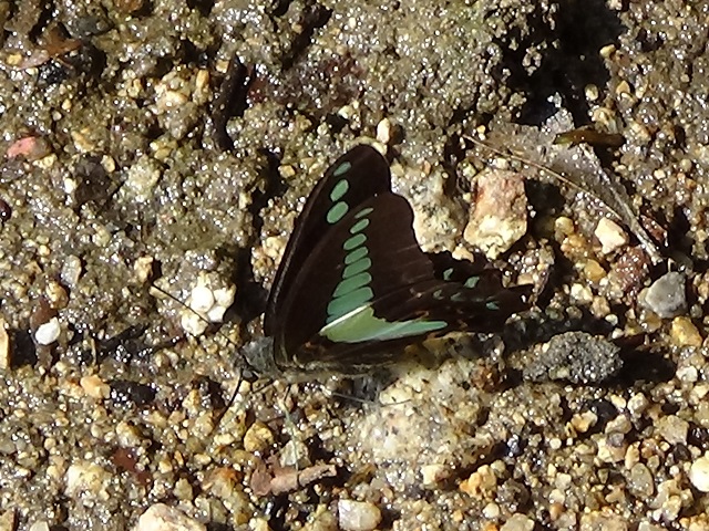 �`���E�`��