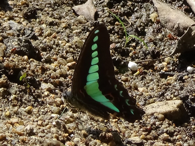 �`���E�`��