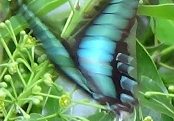 �`���E�`��