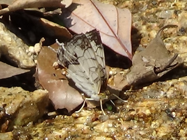 �`���E�`��