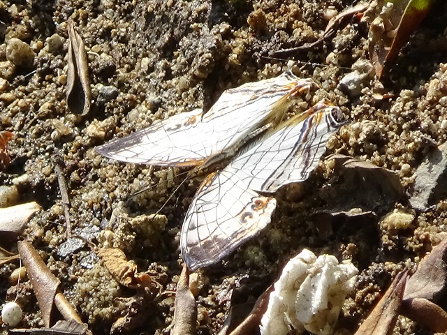 �`���E�`��