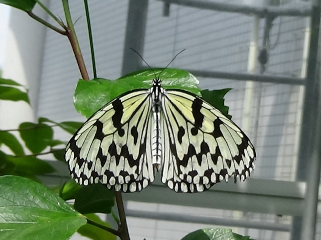 �`���E�`��