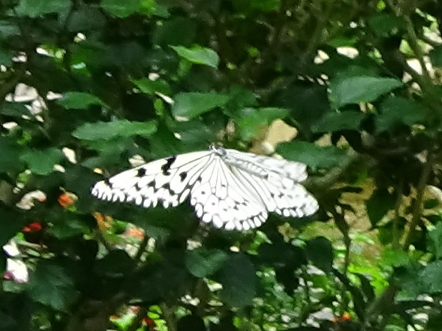 �`���E�`��