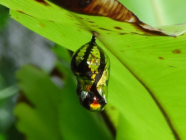 �`���E�`��