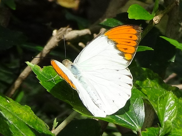 �`���E�`��