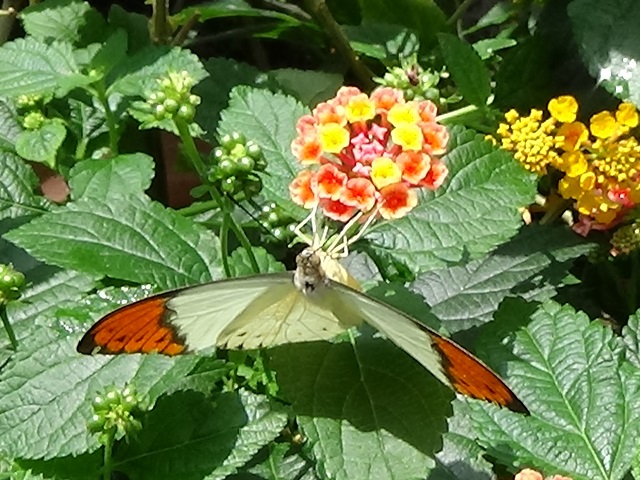 �`���E�`��