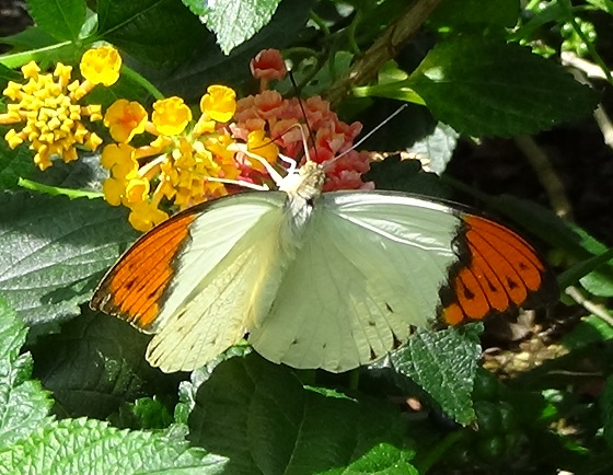 �`���E�`��