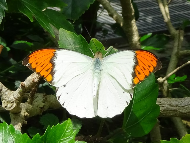 �`���E�`��