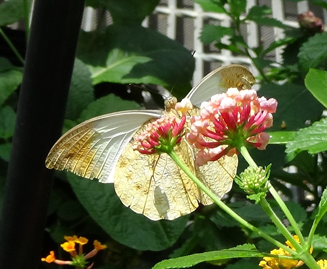 �`���E�`��