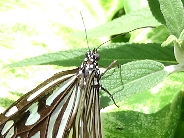 �`���E�`��