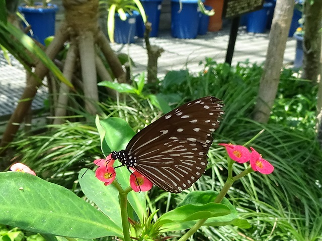 �`���E�`��