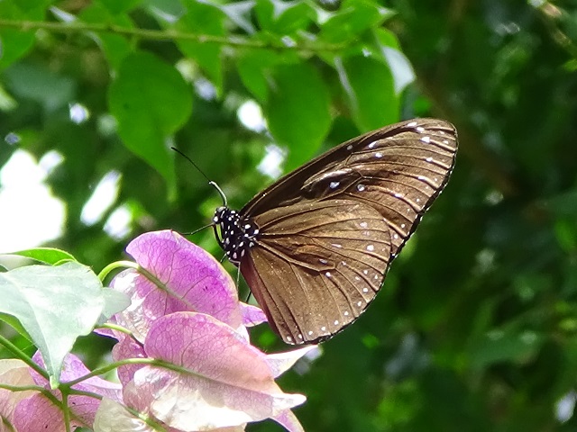 �`���E�`��