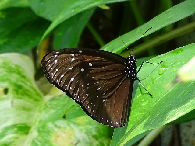 �`���E�`��