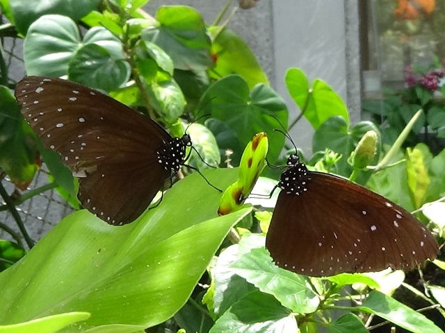 �`���E�`��