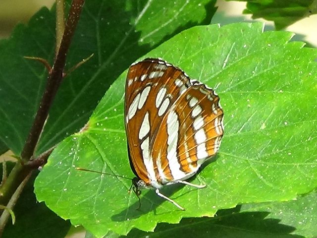 �`���E�`��