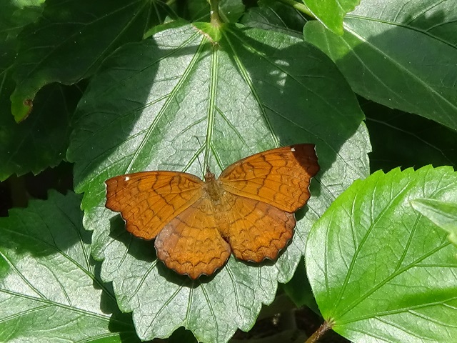 �`���E�`��